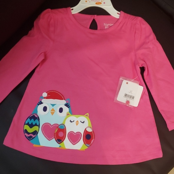 Nursery Rhyme Other - Christmas top with adorable owl applicae